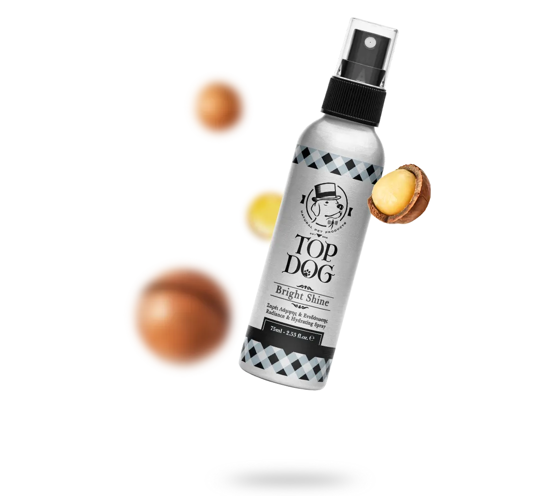 Top Dog Σπρέι Λάμψης Bright Shine 75ml - Image 2