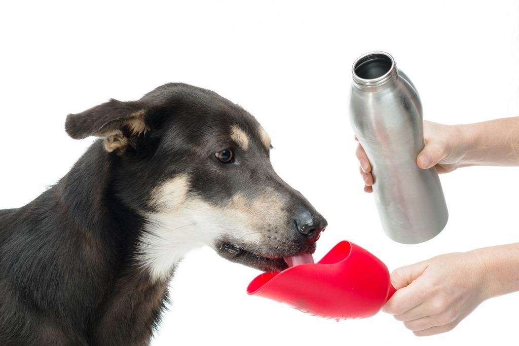 KONG Ανοξείδωτος Color Θερμός H20 700ml - Image 4