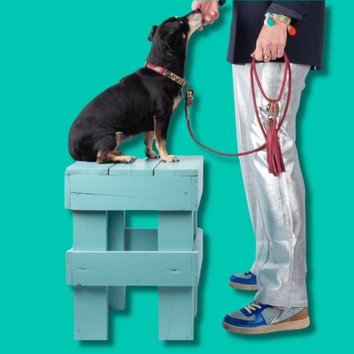 Οδηγός DWAM Bonnie Leash - Image 3