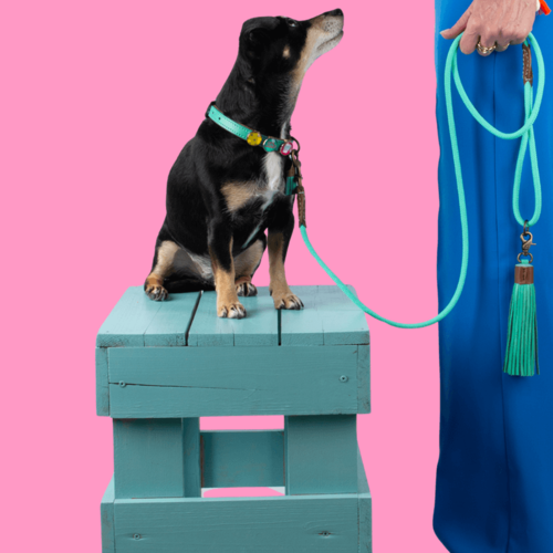 Οδηγός DWAM Jade leash - Image 2