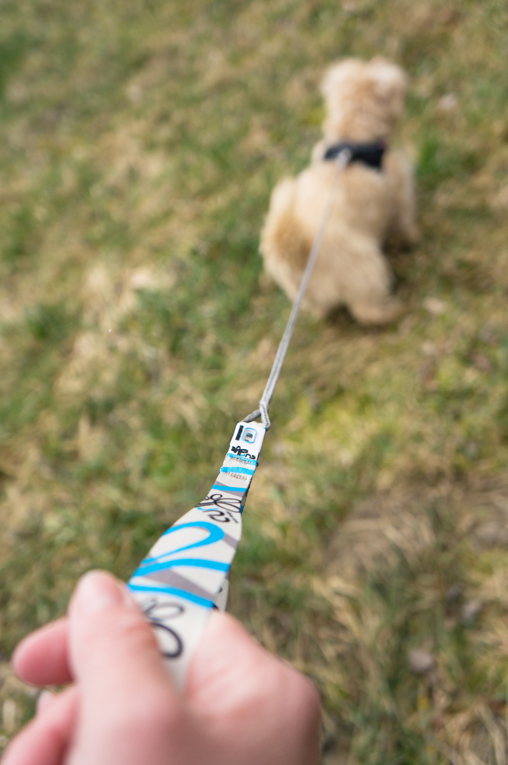 Οδηγός τσέπης CURLI Ultra Strong Pocket leash - Image 2
