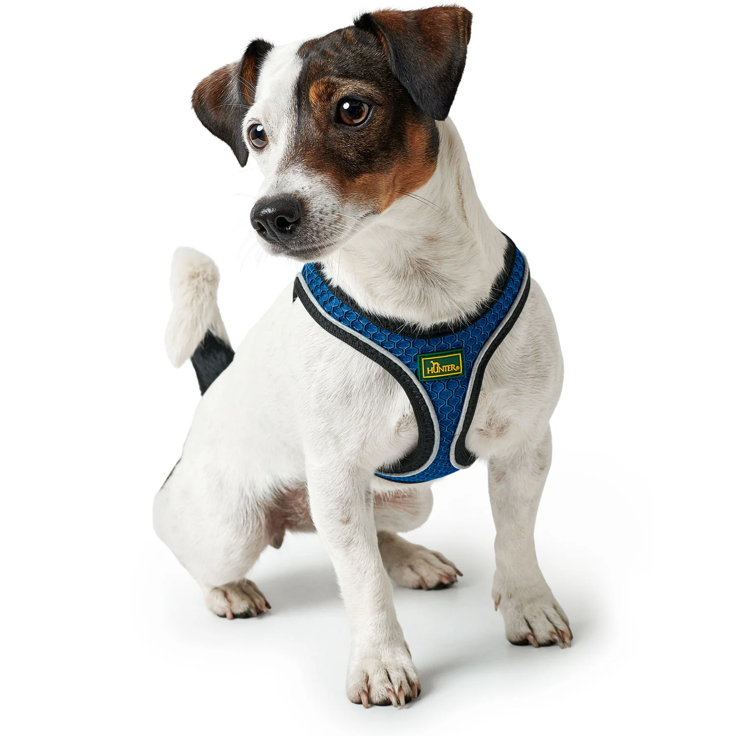 Hunter Σαμαράκι Harness Hilo Comfort - Image 24