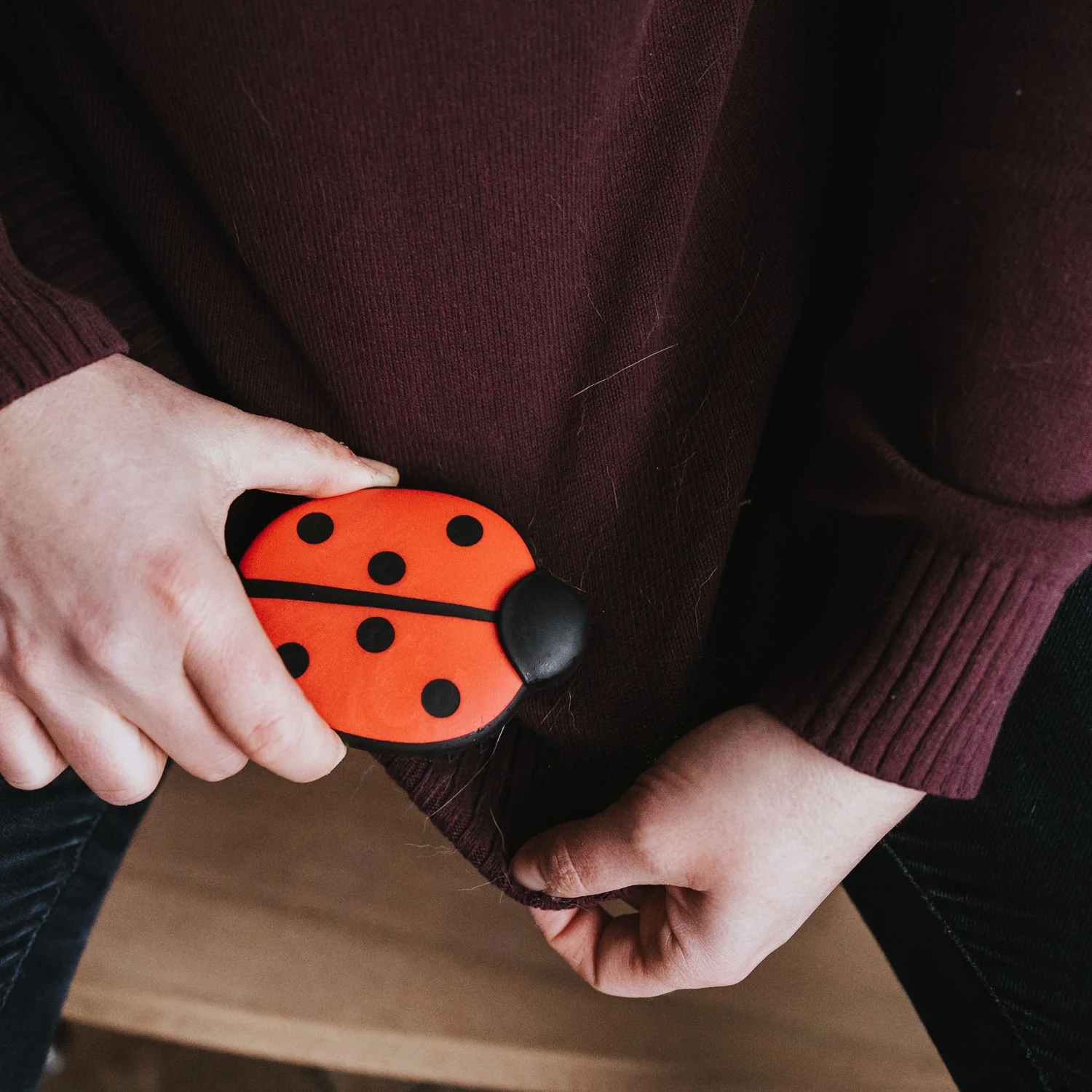 Βούρτσα για απομάκρυνση τρίχας HUNTER Ladybird