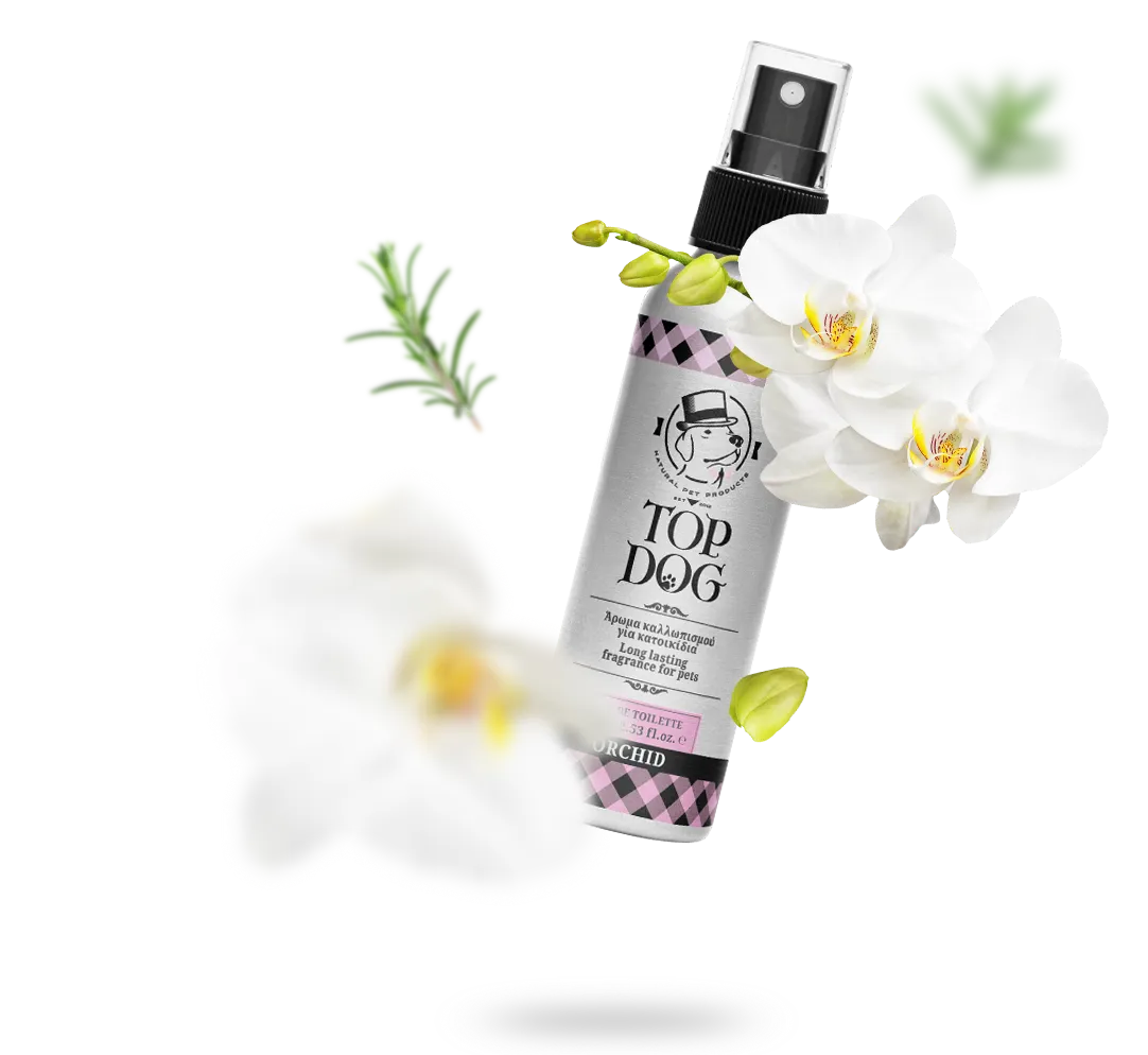 Άρωμα Top Dog Orchid 75ml - Image 2