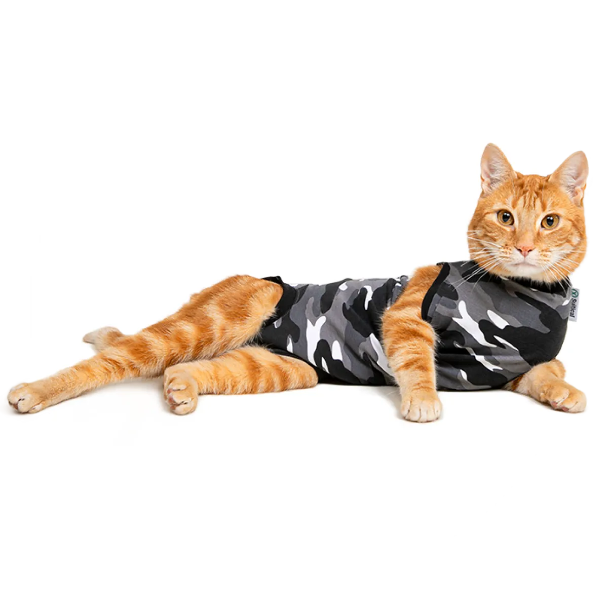 Χειρουργικό Φορμάκι γάτας Suitical Recovery - Image 2