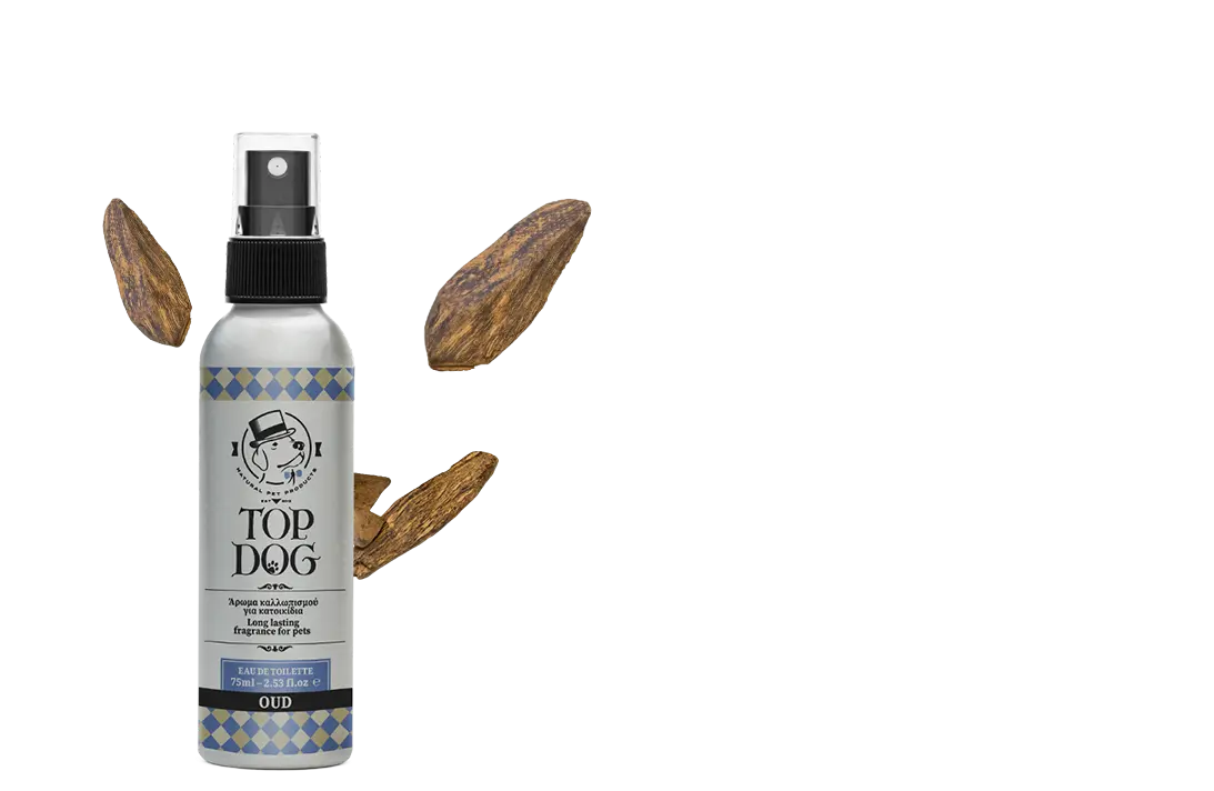 Top Dog άρωμα Oud 75ml - Image 2