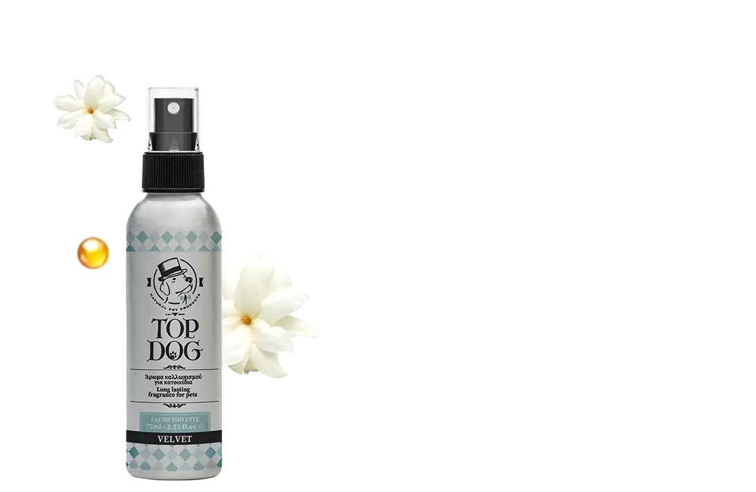 Top Dog άρωμα Velvet 75ml - Image 2